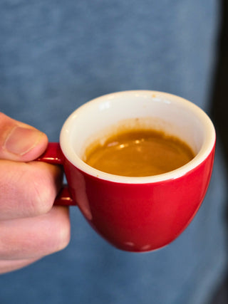 ACME Classic Mini [Demitasse] Cup (70ml/2.40oz)